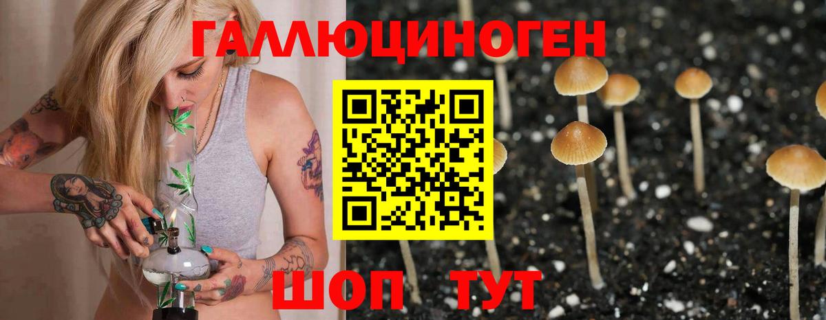 Кодеин Усть-Джегута